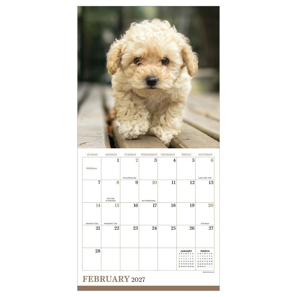 Puppies 2027 Mini Wall Calendar Third Alternate Image