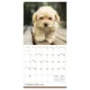 image Puppies 2027 Mini Wall Calendar Third Alternate Image