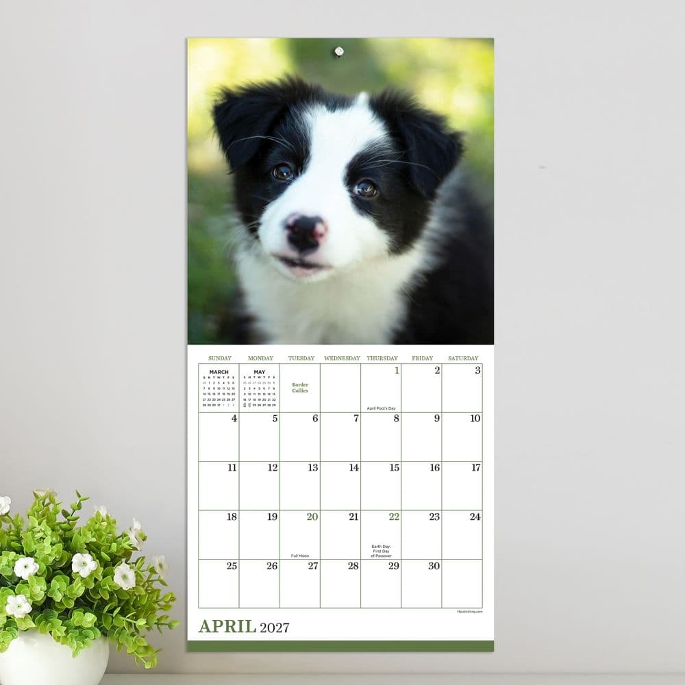 Puppies 2027 Mini Wall Calendar Fourth Alternate Image