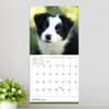 image Puppies 2027 Mini Wall Calendar Fourth Alternate Image