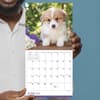 image Puppies 2027 Mini Wall Calendar Fifth Alternate Image