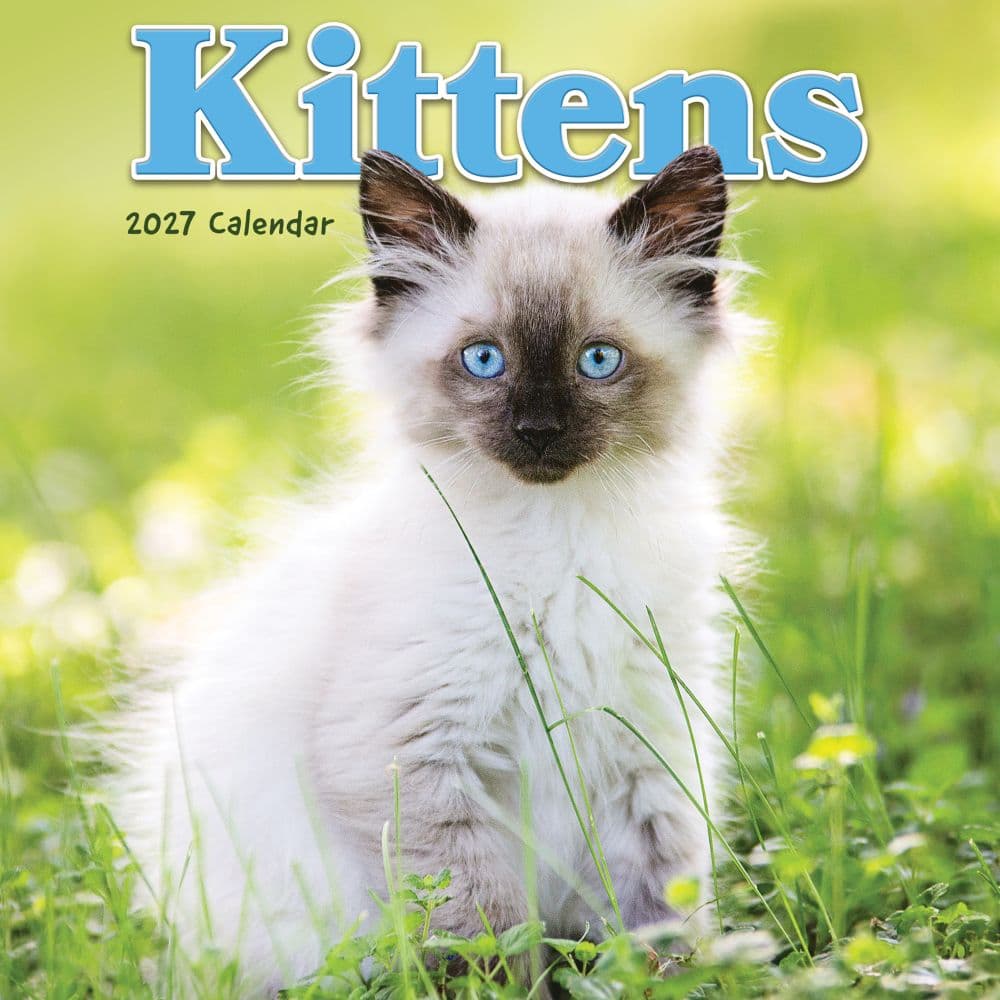 Kittens 2027 Mini Wall Calendar Main Product Image