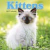 image Kittens 2027 Mini Wall Calendar Main Product Image
