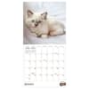 image Kittens 2027 Mini Wall Calendar Second Alternate Image