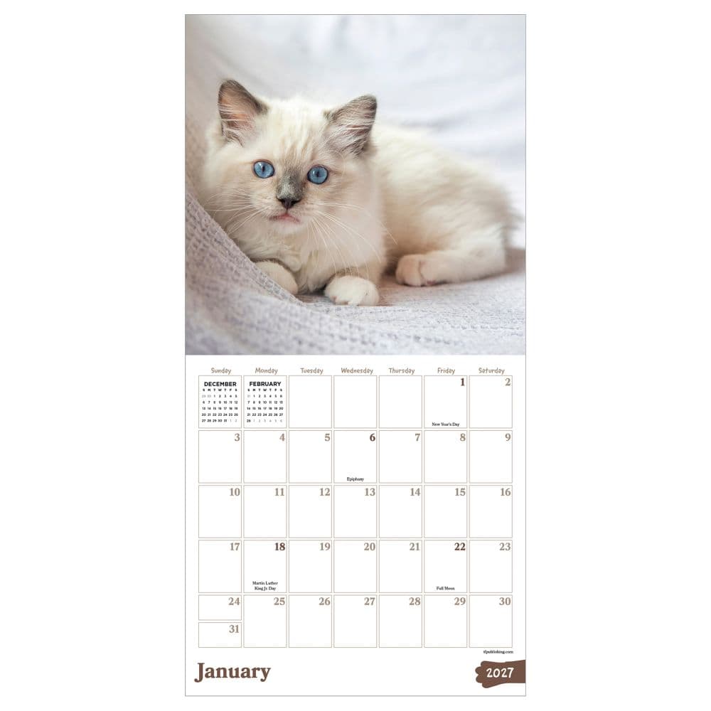 Kittens 2027 Mini Wall Calendar Second Alternate Image