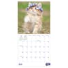 image Kittens 2027 Mini Wall Calendar Third Alternate Image