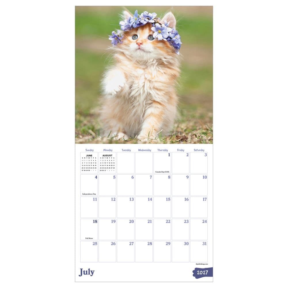 Kittens 2027 Mini Wall Calendar Third Alternate Image