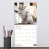 image Kittens 2027 Mini Wall Calendar Fourth Alternate Image
