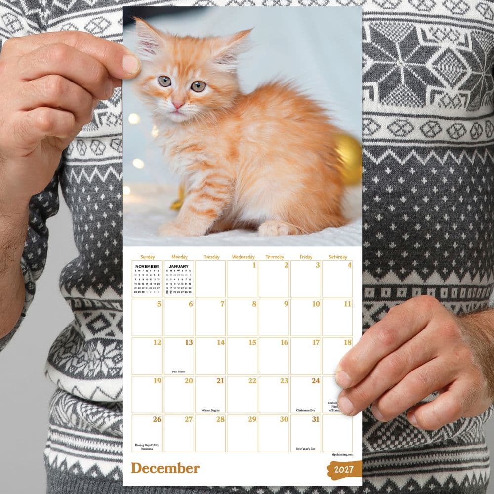 Kittens 2027 Mini Wall Calendar Fifth Alternate Image