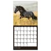 image Horses 2027 Mini Wall Calendar Third Alternate Image