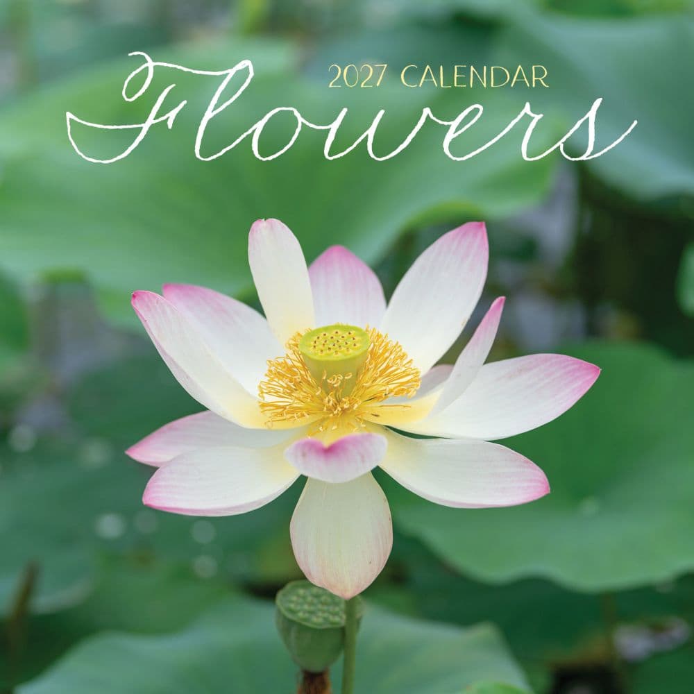 Flowers 2027 Mini Wall Calendar Main Product Image