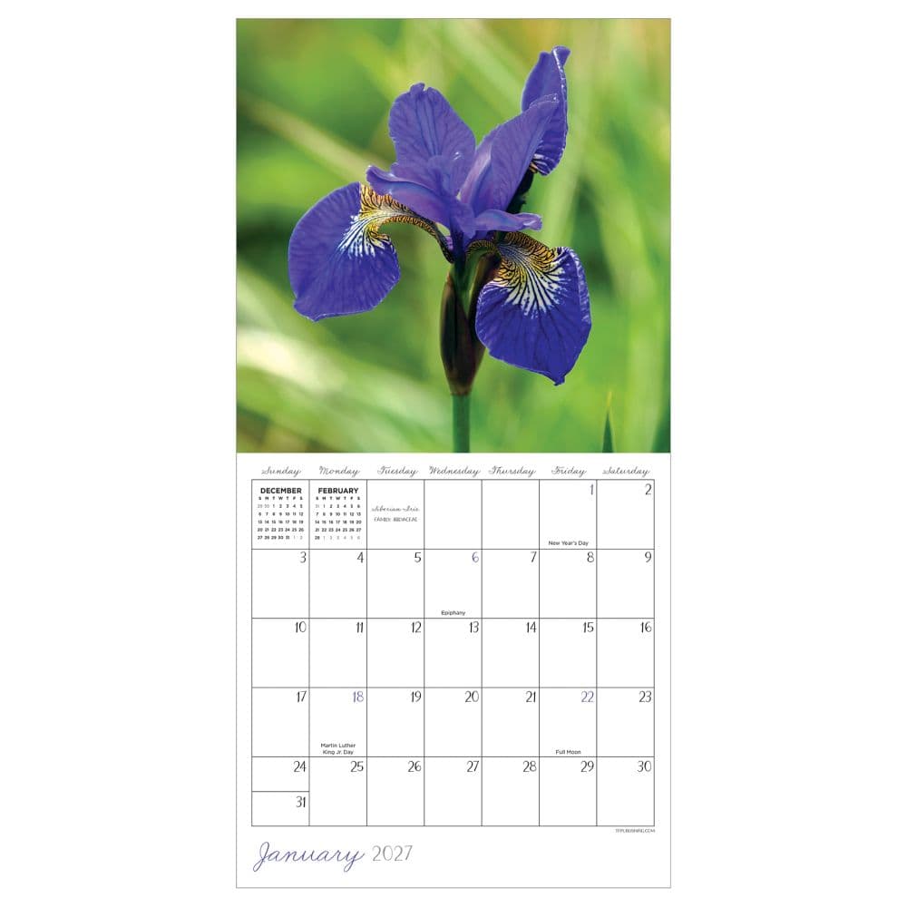 Flowers 2027 Mini Wall Calendar Second Alternate Image
