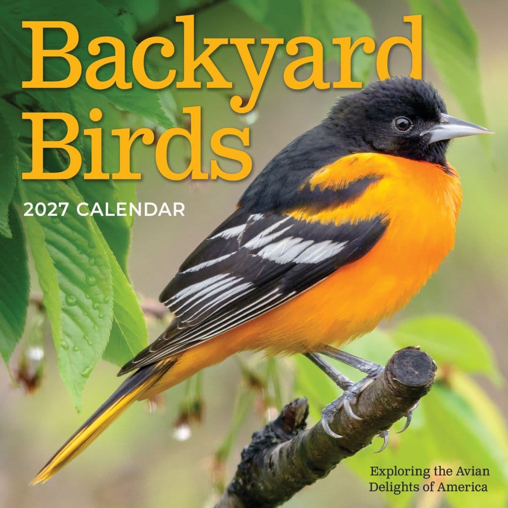Backyard Birds 2027 Mini Wall Calendar Main Product Image