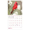 image Backyard Birds 2027 Mini Wall Calendar Second Alternate Image