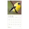 image Backyard Birds 2027 Mini Wall Calendar Third Alternate Image