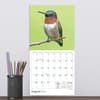 image Backyard Birds 2027 Mini Wall Calendar Fourth Alternate Image