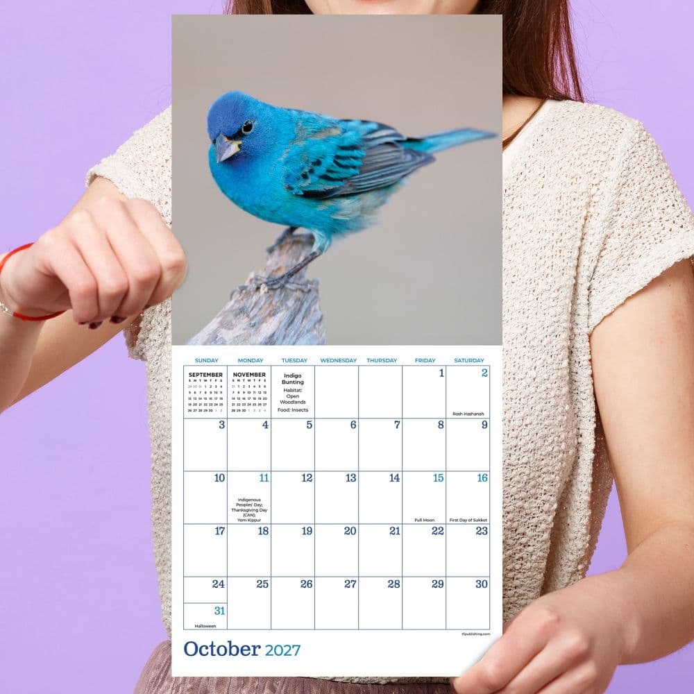 Backyard Birds 2027 Mini Wall Calendar Fifth Alternate Image