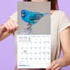 image Backyard Birds 2027 Mini Wall Calendar Fifth Alternate Image