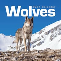 image Wolves 2027 Wall Calendar Main Product Image