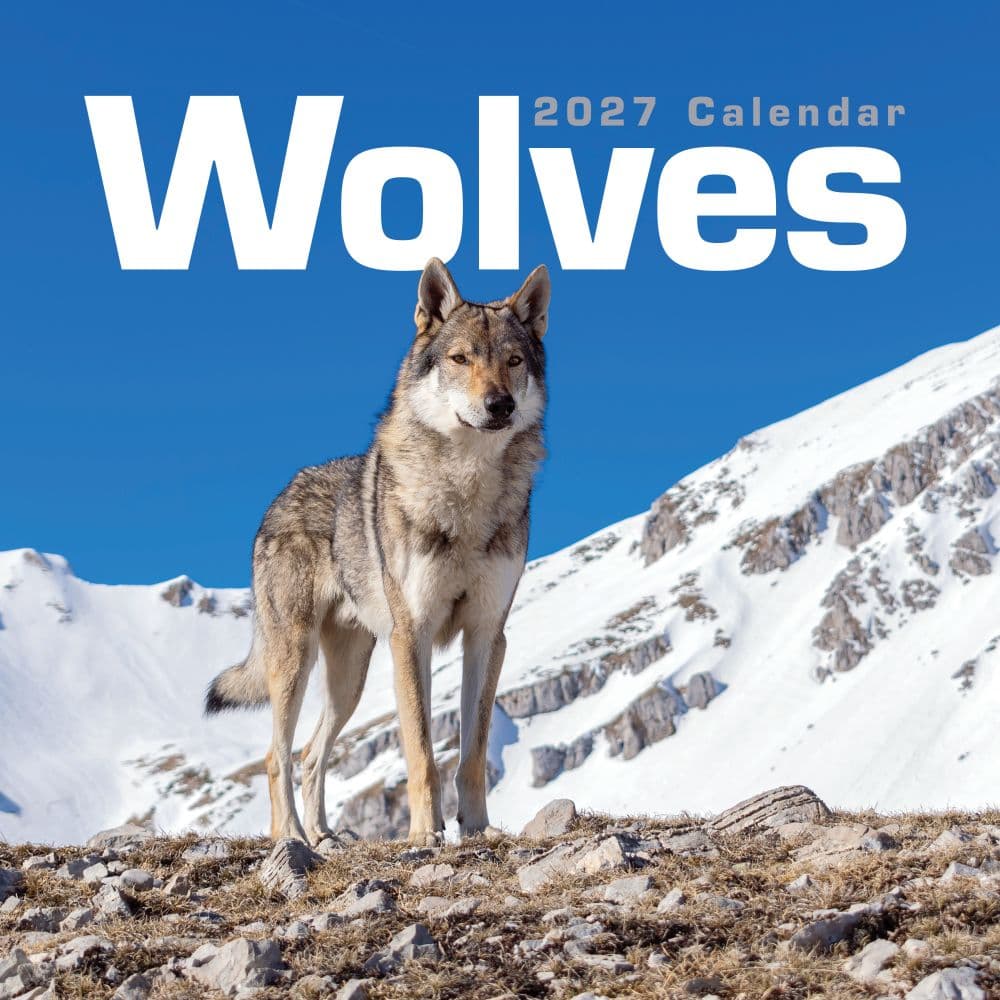 image Wolves 2027 Wall Calendar Main Product Image