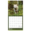 image Wolves 2027 Wall Calendar Second Alternate Image