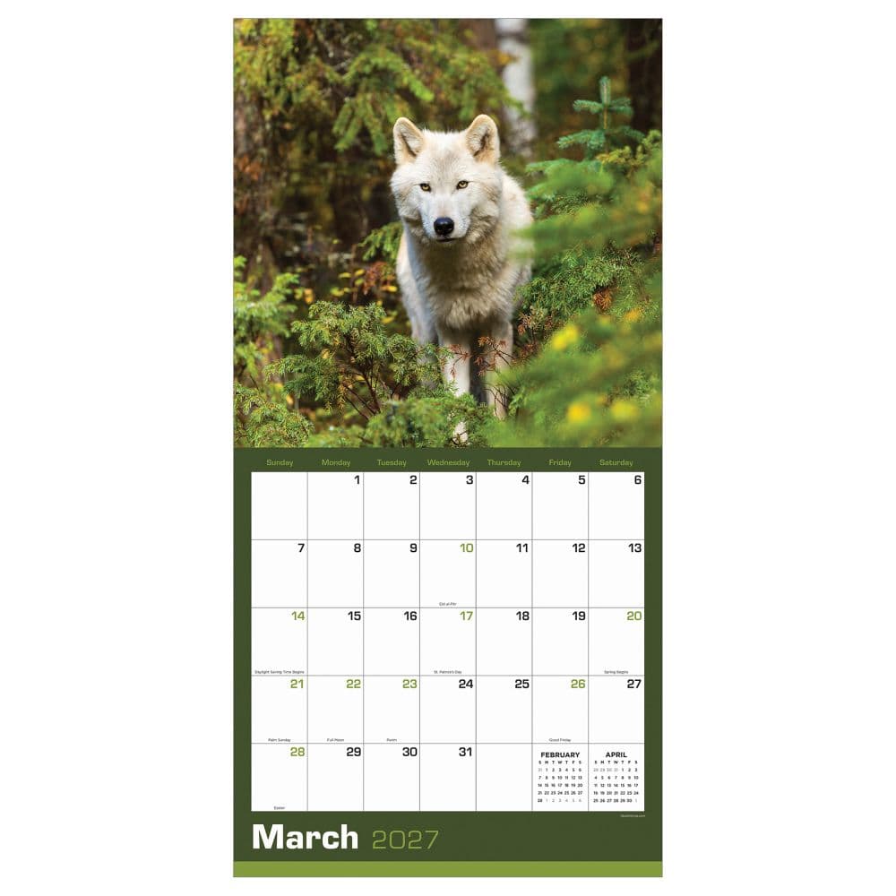 Wolves 2027 Wall Calendar Second Alternate Image