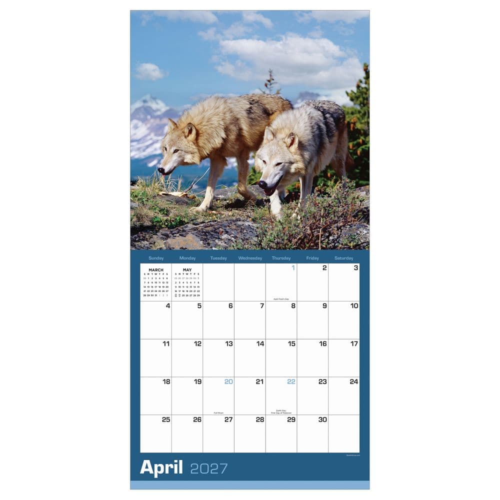 Wolves 2027 Wall Calendar Third Alternate Image