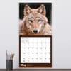 image Wolves 2027 Wall Calendar Fourth Alternate Image