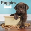 image Puppies 2027 Wall Calendar Main Product Image