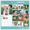 image Puppies 2027 Wall Calendar First Alternate Image