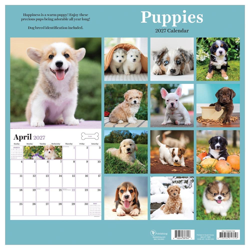 Puppies 2027 Wall Calendar First Alternate Image
