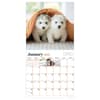 image Puppies 2027 Wall Calendar Second Alternate Image