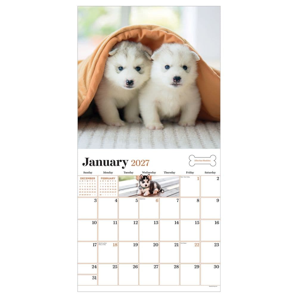 Puppies 2027 Wall Calendar Second Alternate Image