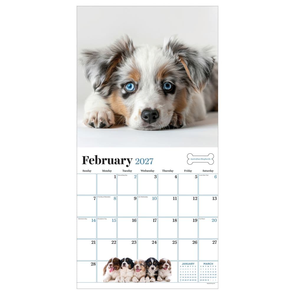 Puppies 2027 Wall Calendar Third Alternate Image