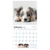 image Puppies 2027 Wall Calendar Third Alternate Image