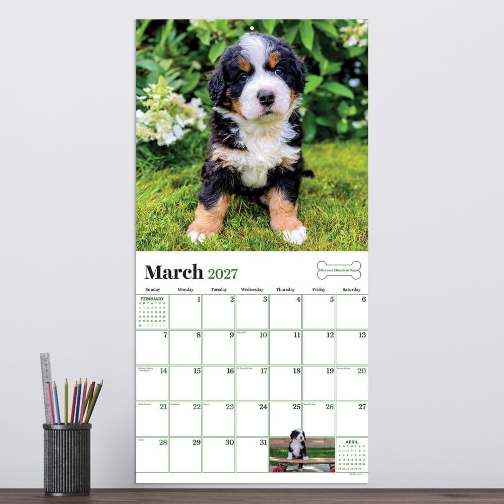 Puppies 2027 Wall Calendar Fourth Alternate Image