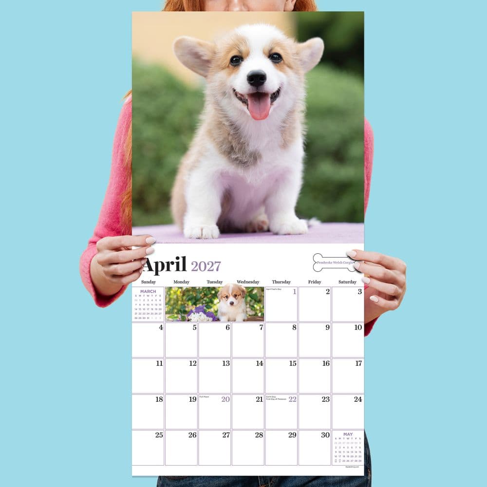 Puppies 2027 Wall Calendar Fifth Alternate Image