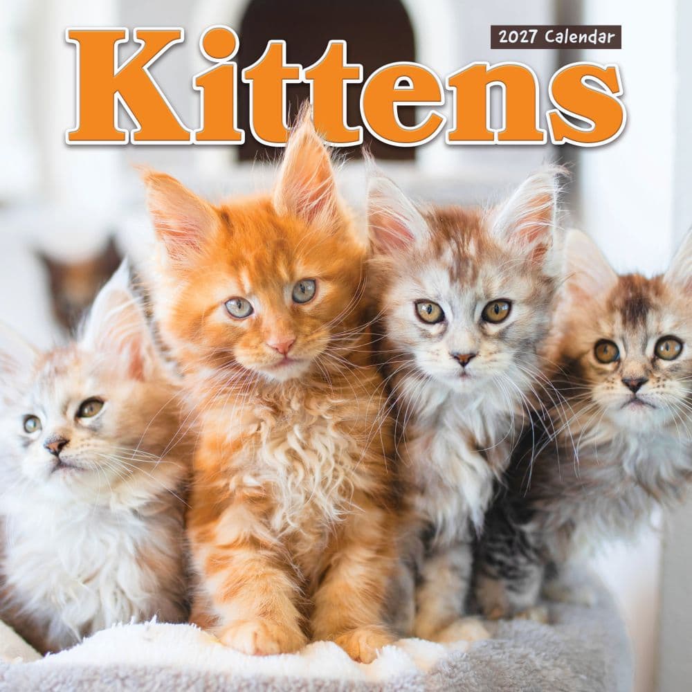 Kittens 2027 Wall Calendar Main Product Image