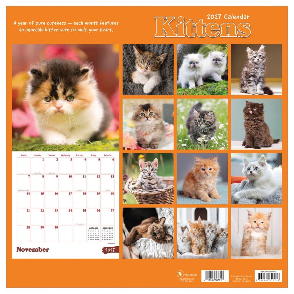 Kittens 2027 Wall Calendar First Alternate Image