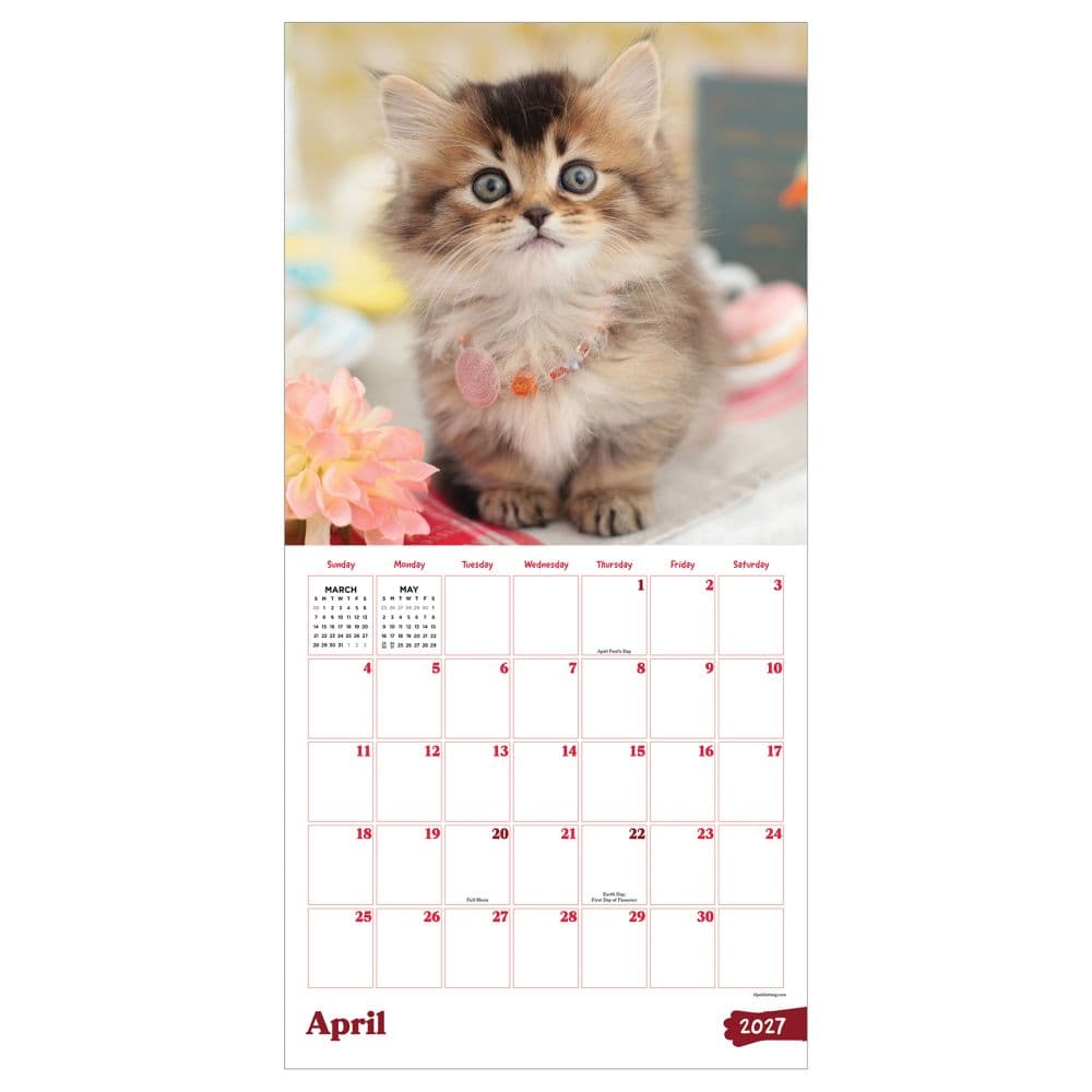 Kittens 2027 Wall Calendar Second Alternate Image