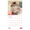 image Kittens 2027 Wall Calendar Second Alternate Image