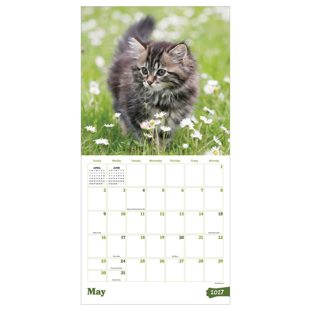 Kittens 2027 Wall Calendar Third Alternate Image