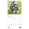 image Kittens 2027 Wall Calendar Third Alternate Image