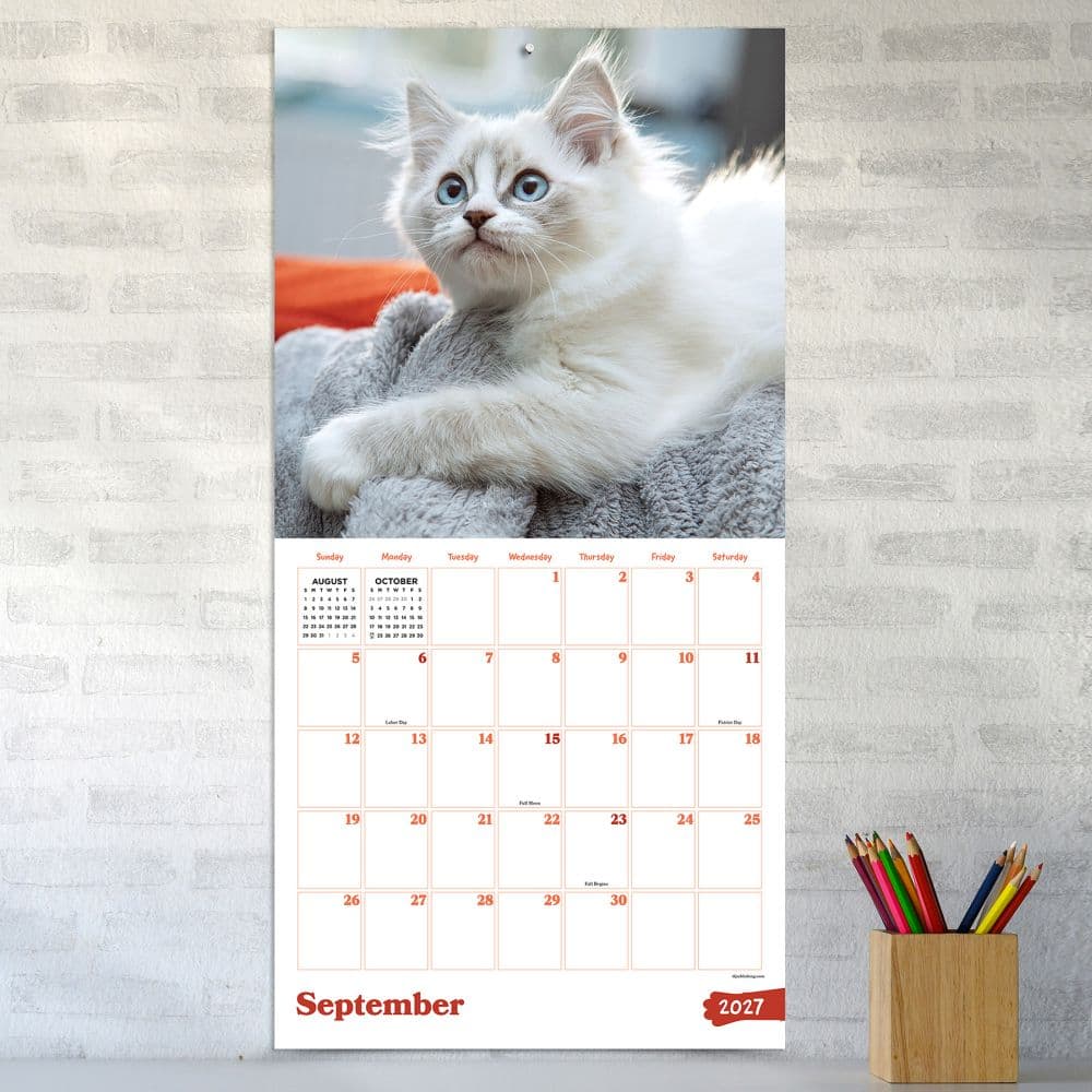 Kittens 2027 Wall Calendar Fourth Alternate Image