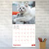 image Kittens 2027 Wall Calendar Fourth Alternate Image