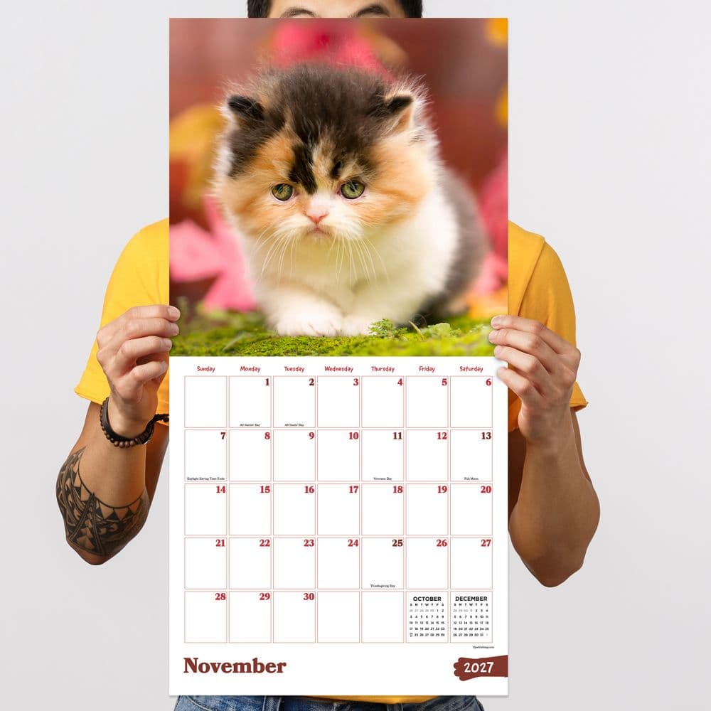 Kittens 2027 Wall Calendar Fifth Alternate Image