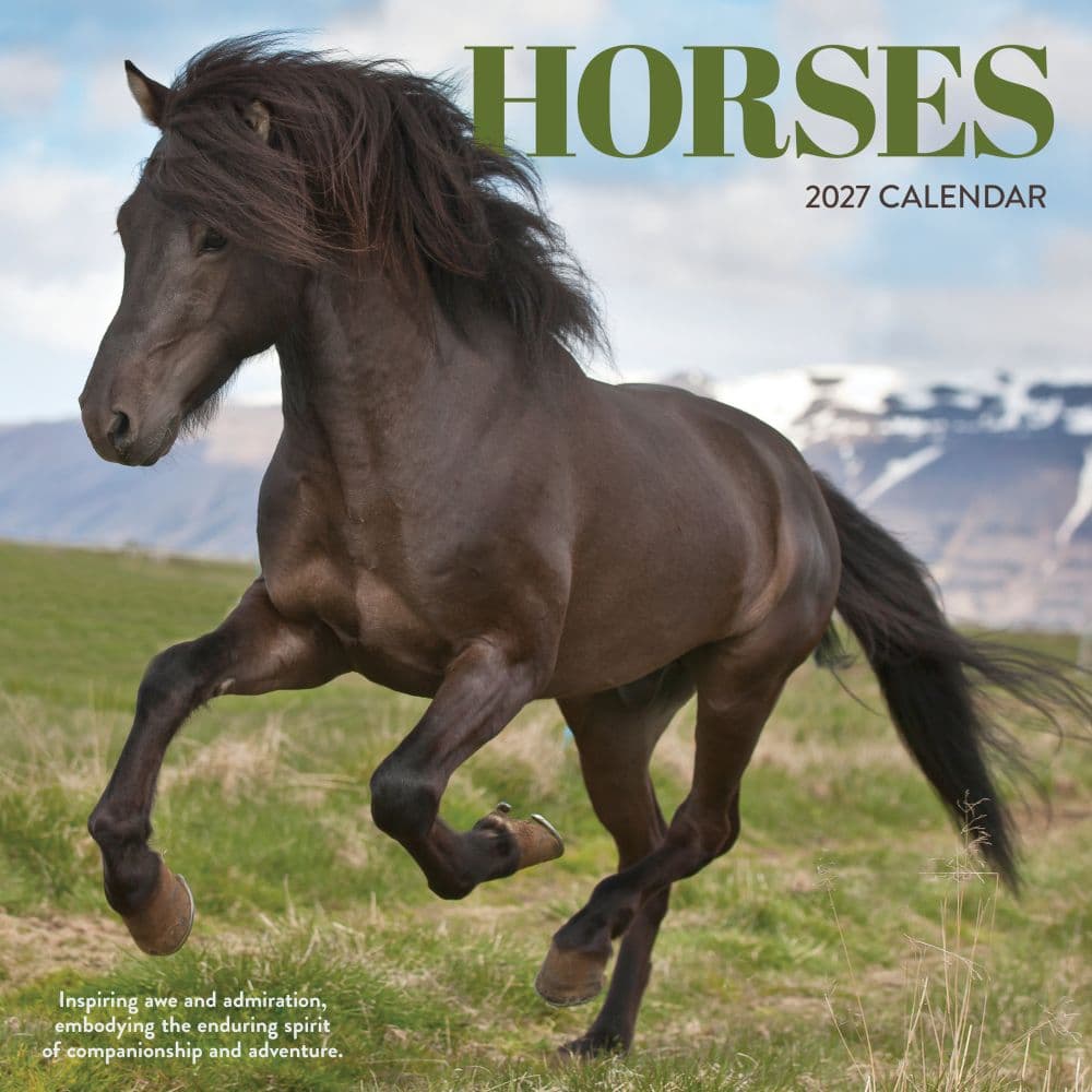 image Horses 2027 Wall Calendar Main Product Image
