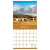 image Horses 2027 Wall Calendar Second Alternate Image