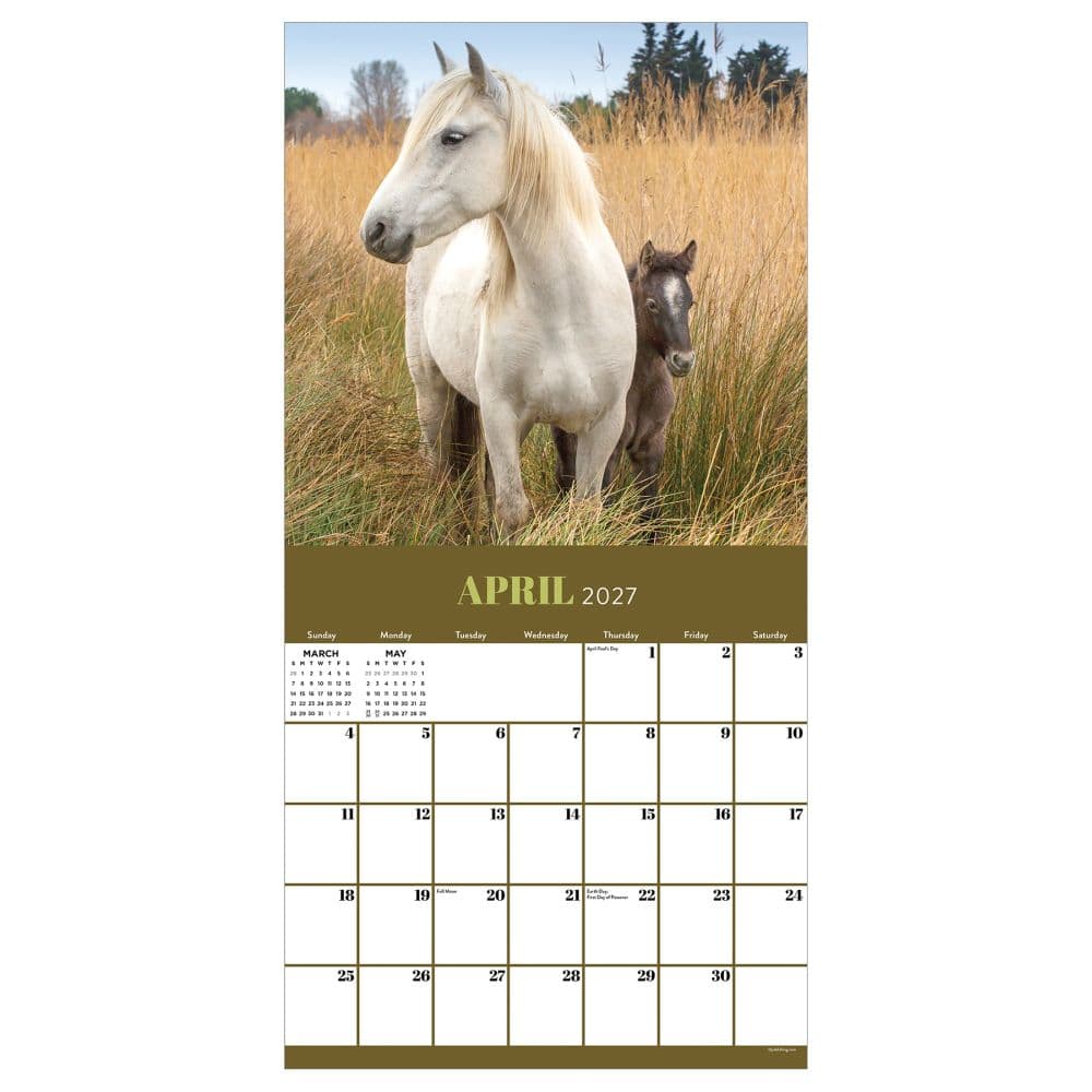 Horses 2027 Wall Calendar Third Alternate Image