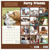 image Furry Friends 2027 Wall Calendar First Alternate Image